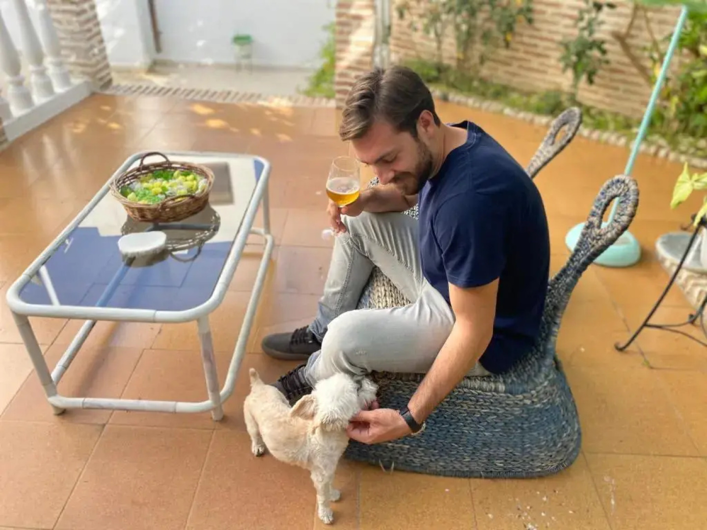 El patio del limonero