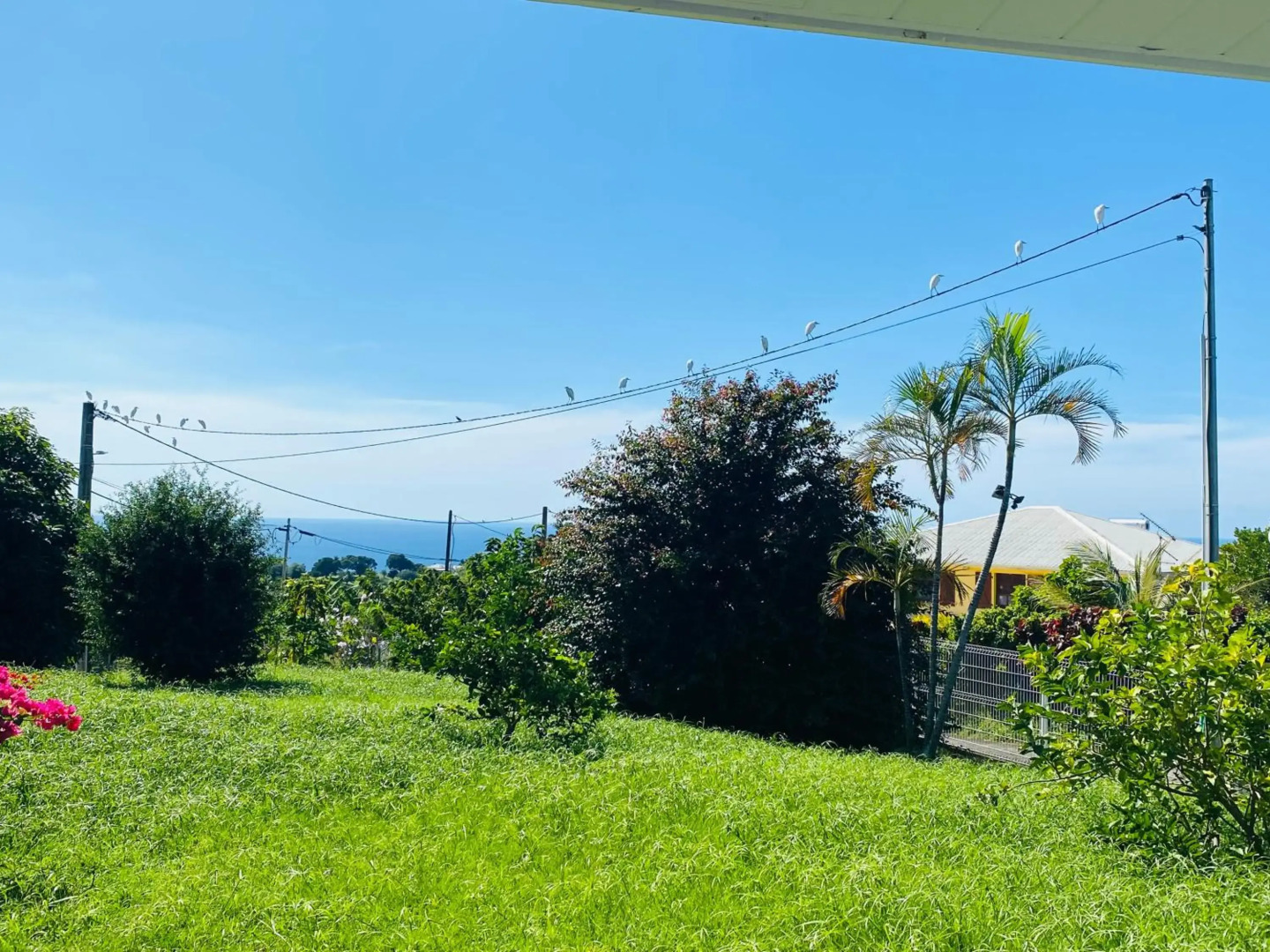Villa Créole vue sur mer des Caraïbes