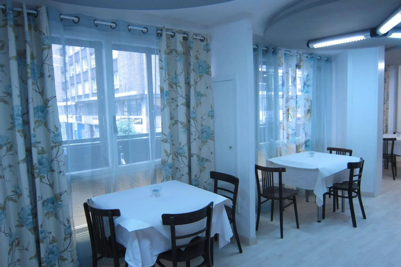 Acebos Azabache Gijón