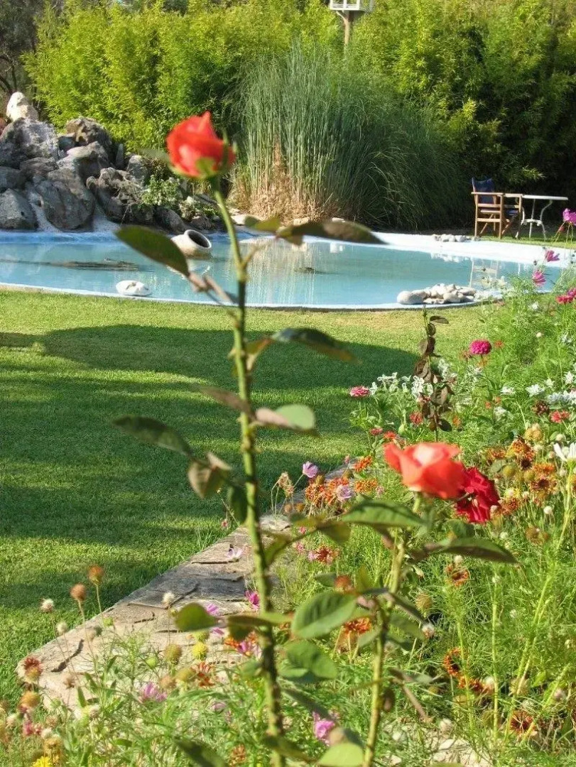 Simatos Apartments and Studios