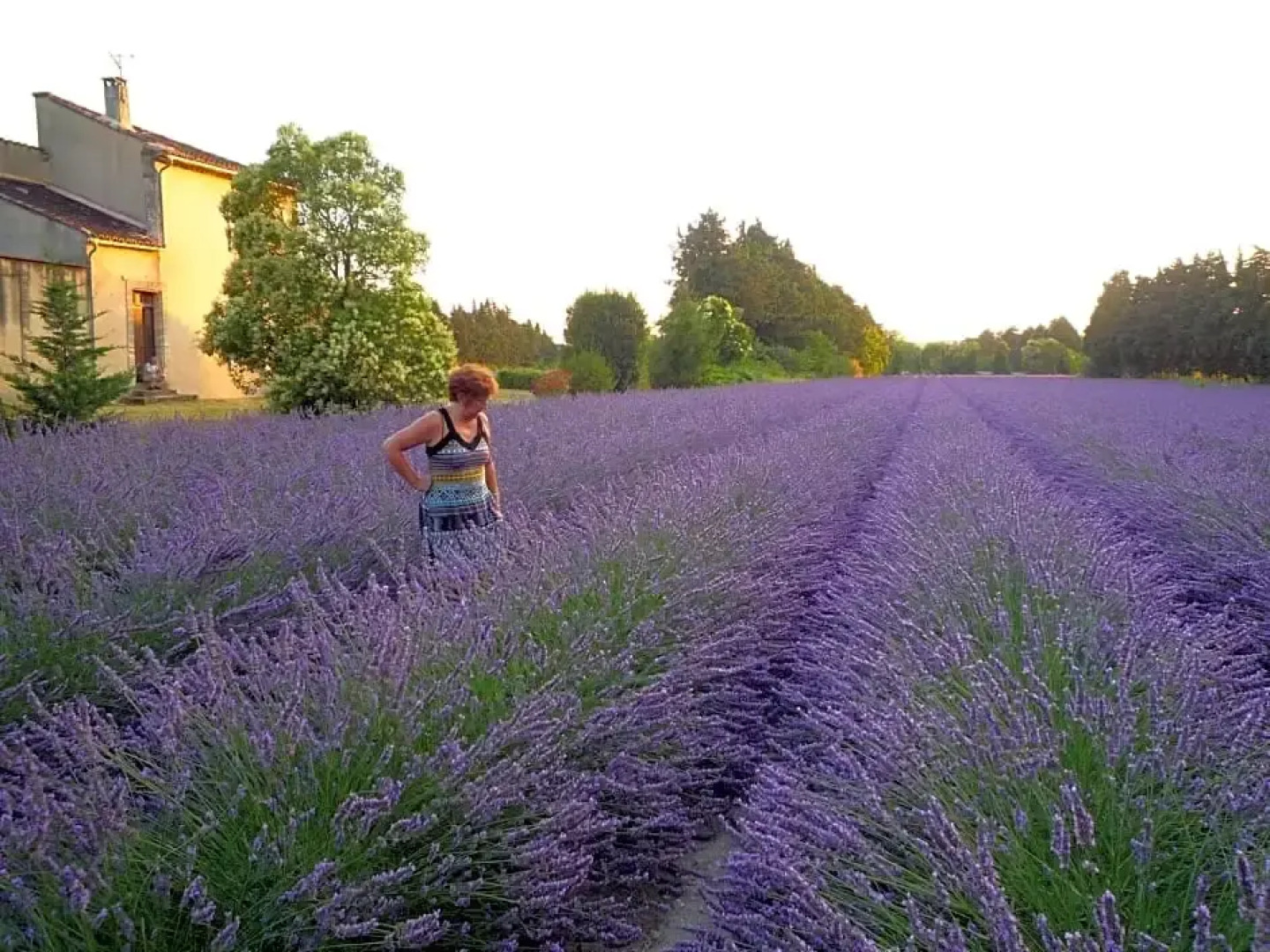 L'Atelier des Coudelières