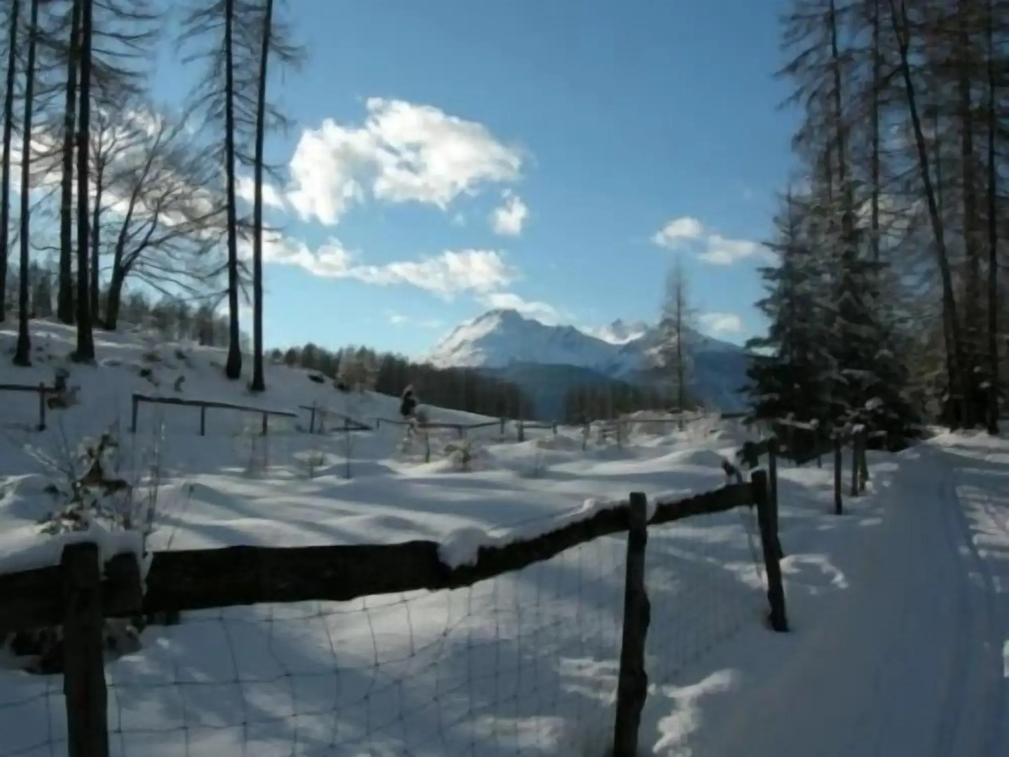 Hotel Bergland Obsteig