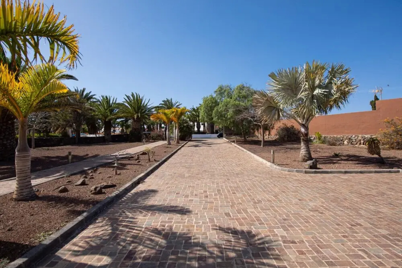 Atlanntes Fuerteventura