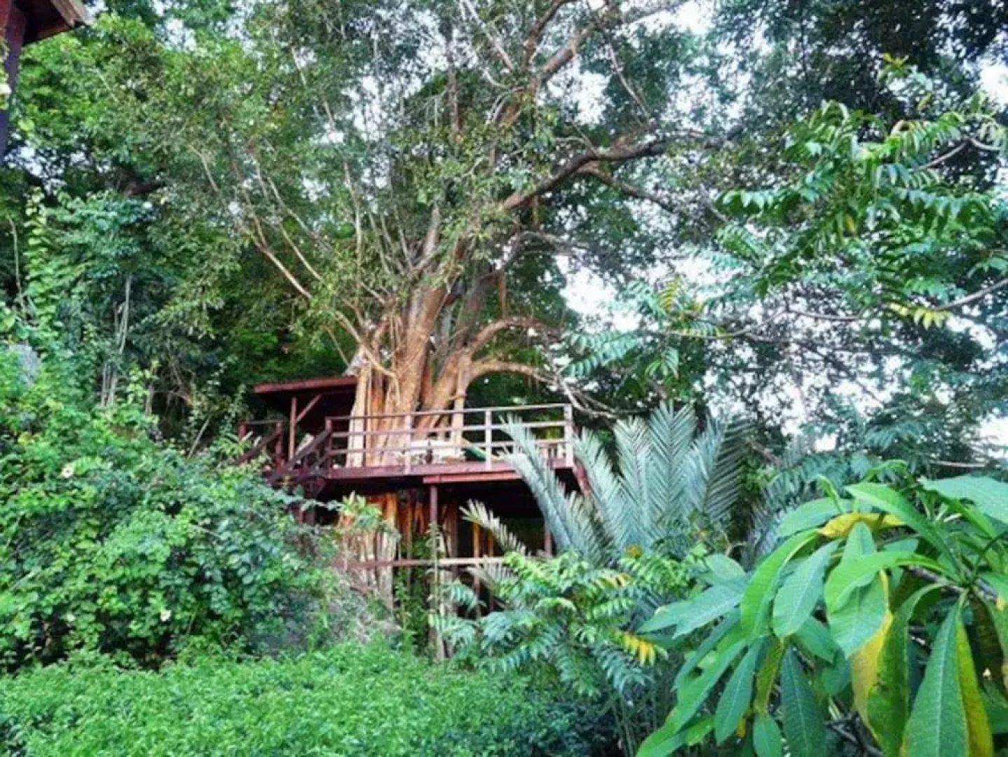 Villa Pomme d'Amour