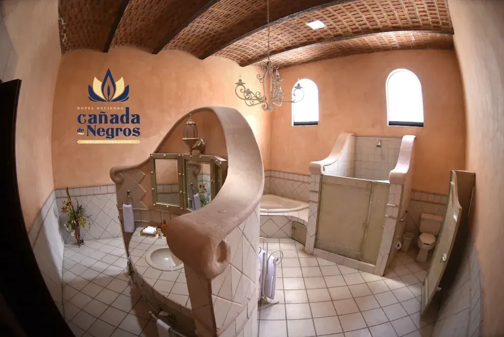 Ex Hacienda Cañada de Negros