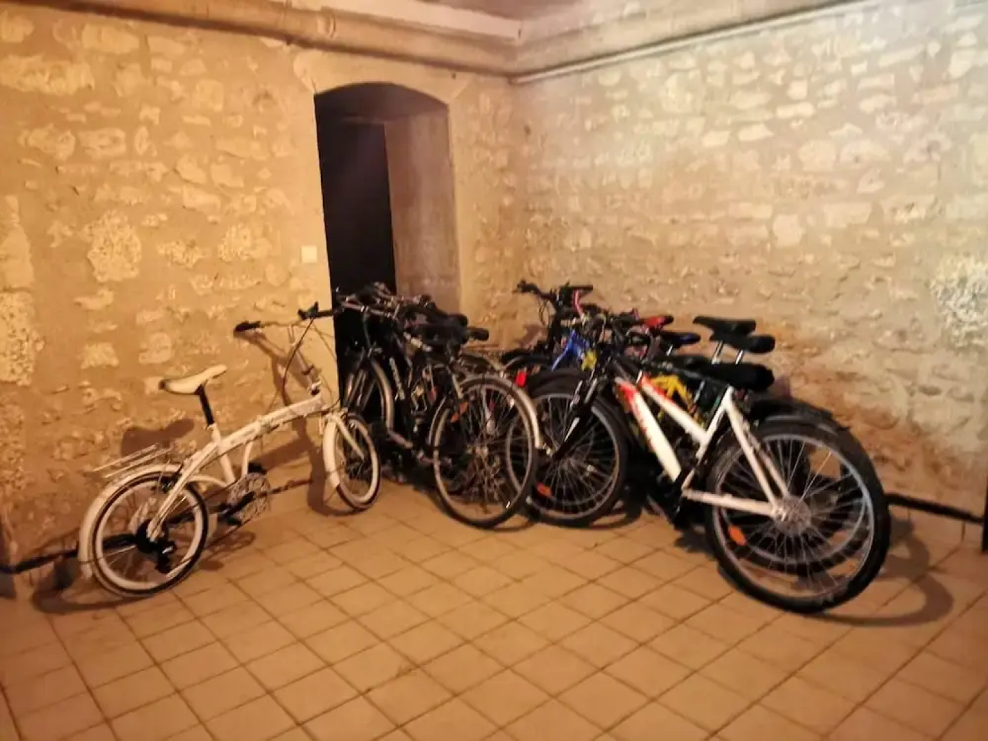 Mansion With 7 Bedrooms in Mosnay, With Enclosed Garden and Wifi