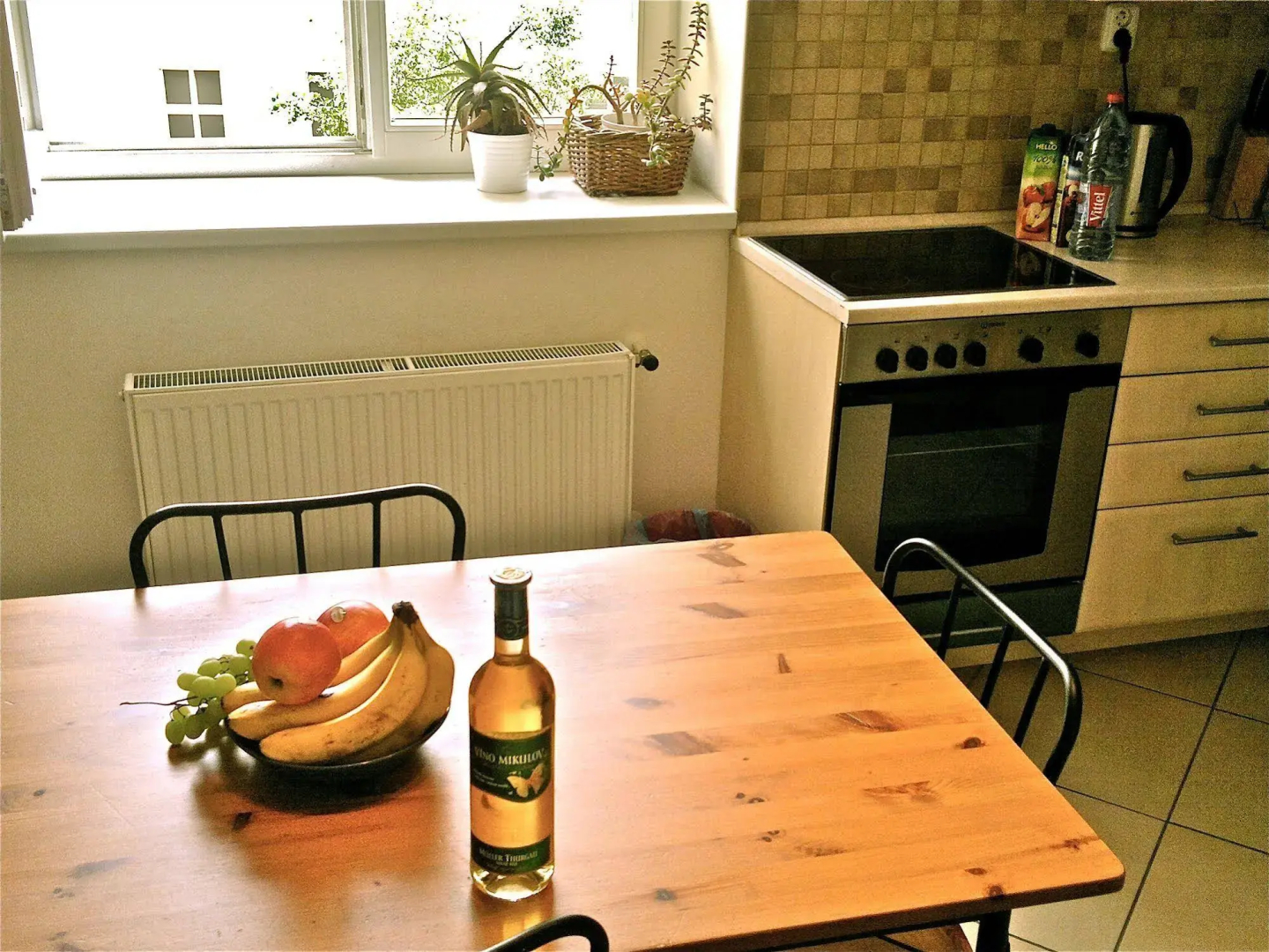 Residence Pinkas Prague