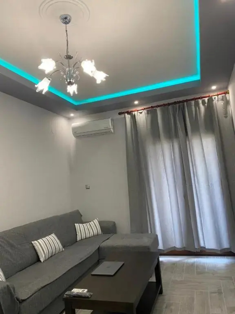 The only luxurious apartment in the center of town