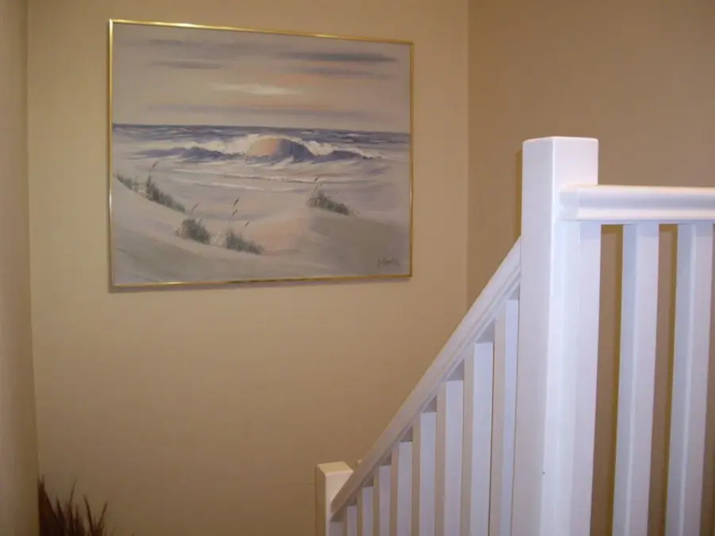 Causeway Holiday Homes