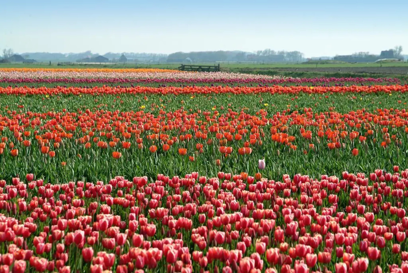 Van der Valk Hotel Texel