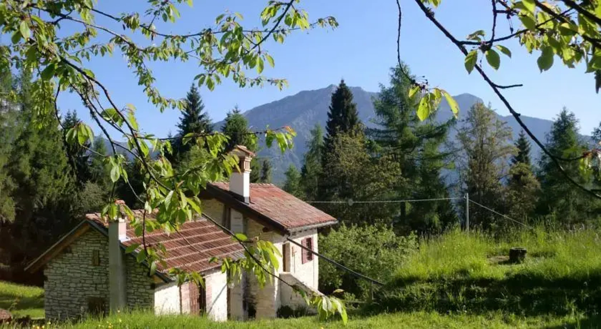 B&B Alpebraus