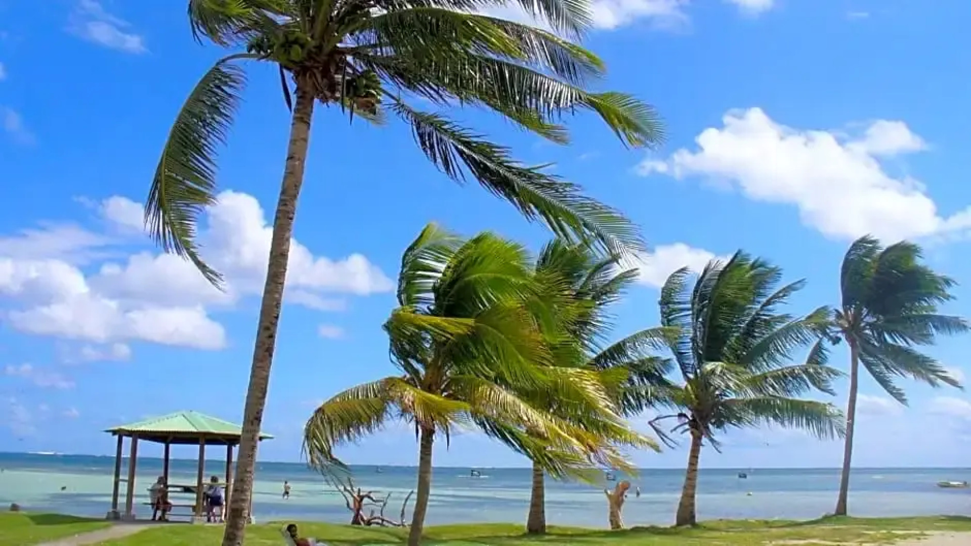Appartement de la Baie
