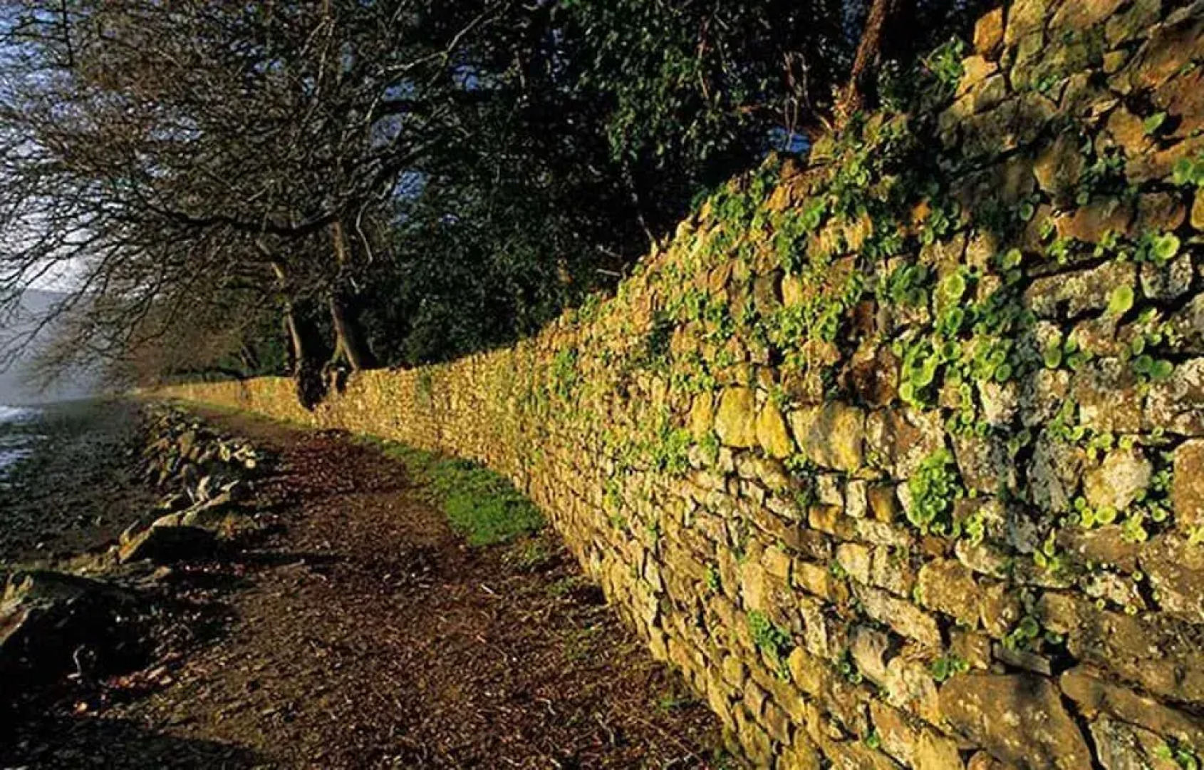 Chambres d'hôtes La Saint Patrick