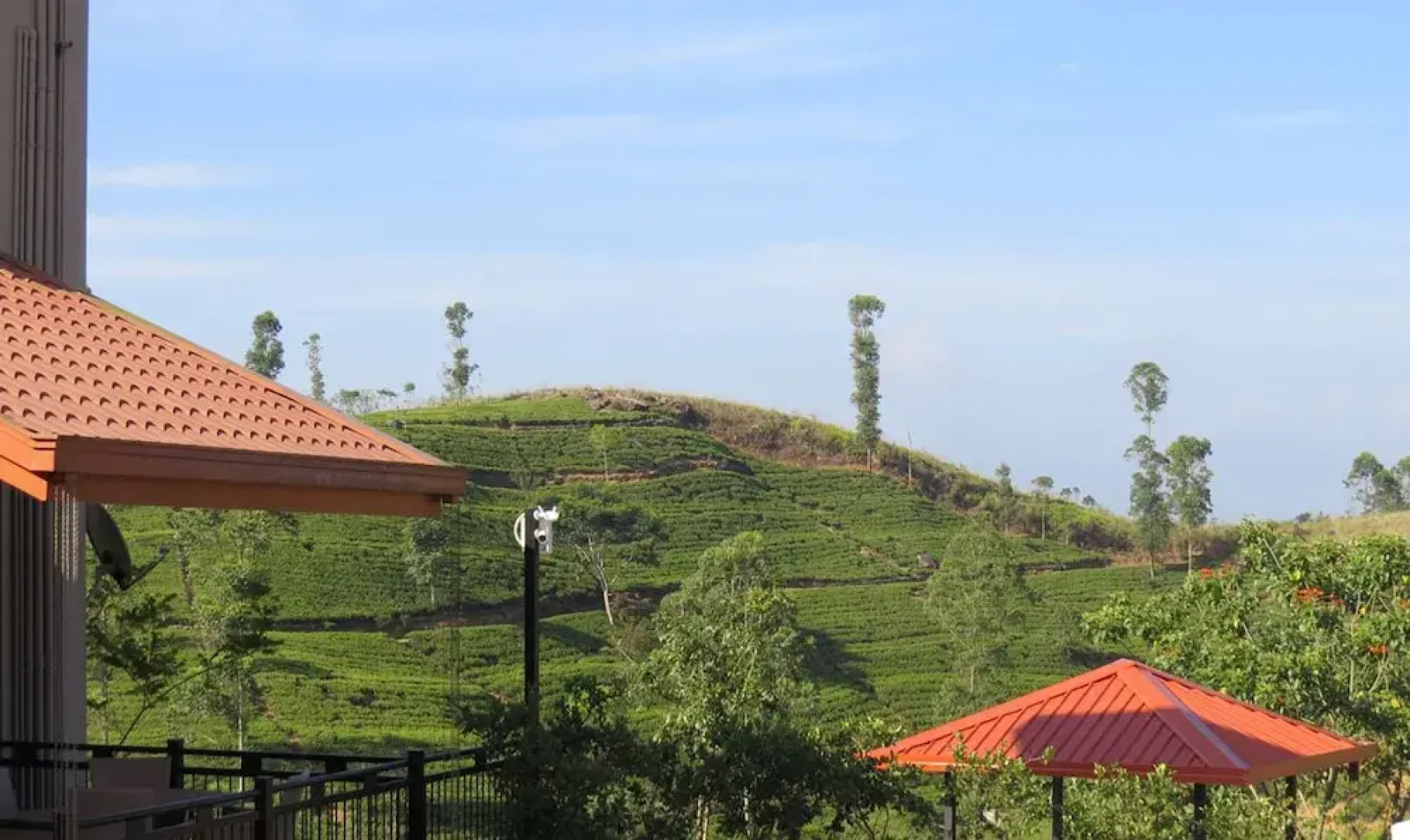 The Harrington Heritage Bungalow