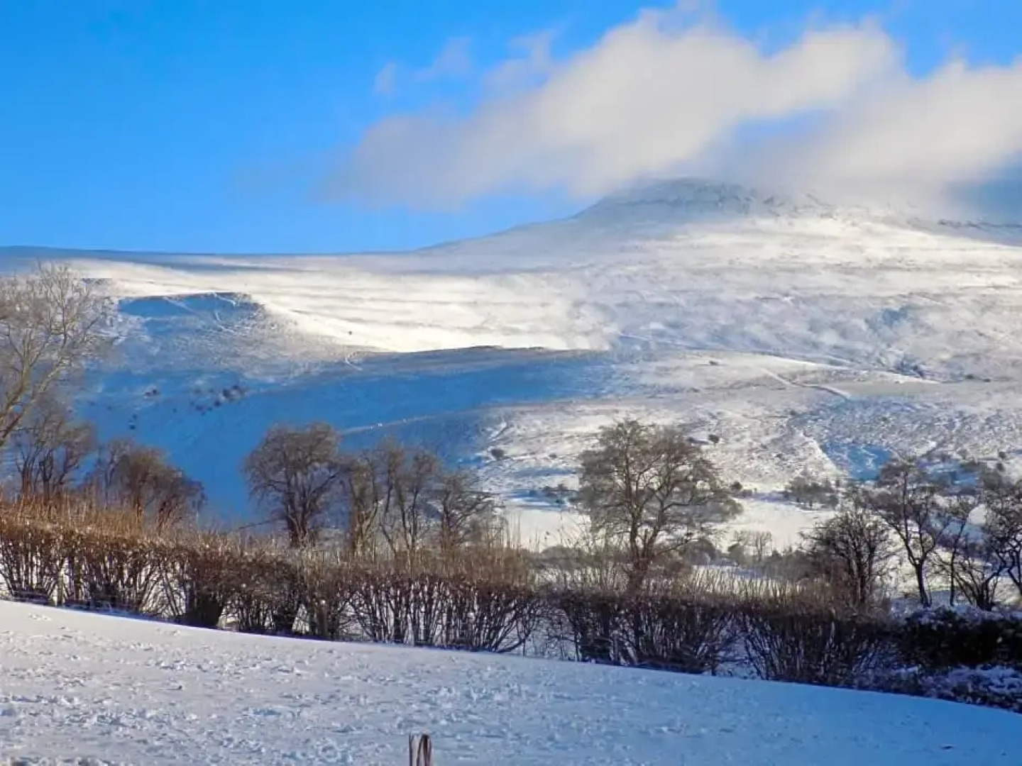 The Farmers Arms, Cwmdu