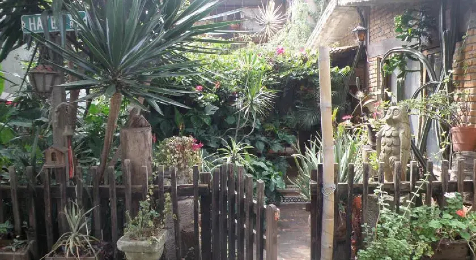 The House Near Downtown