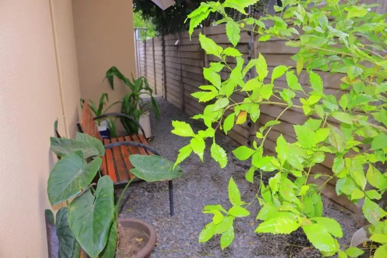 Crown Bed & Breakfast