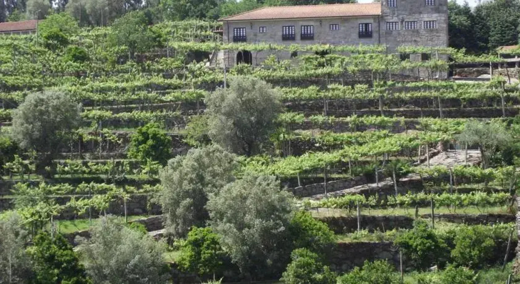 Quinta De Pais - Turismo Rural
