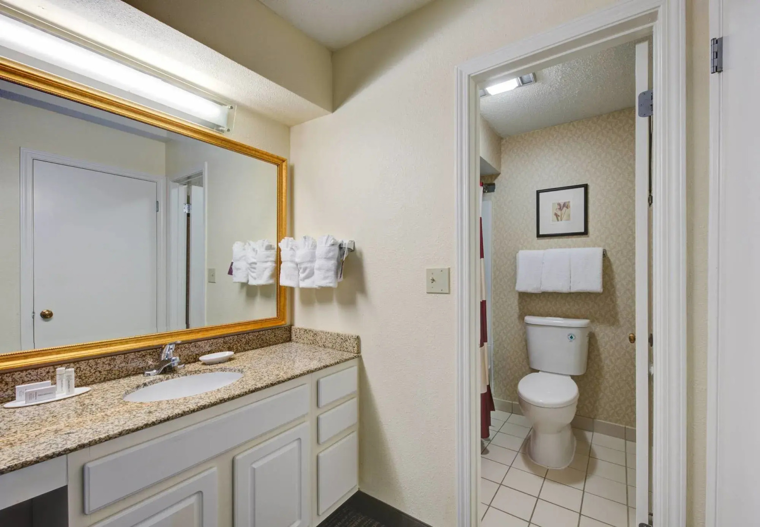 Residence Inn Raleigh Midtown