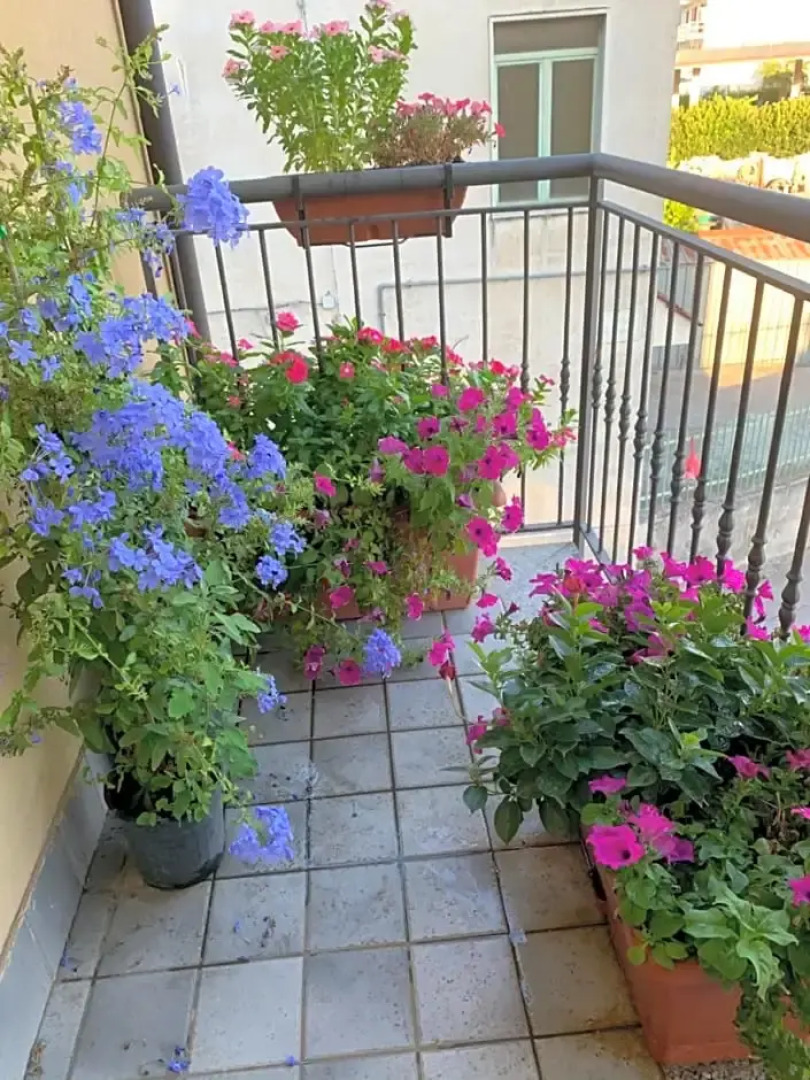 B&B San Pietro Book sharing