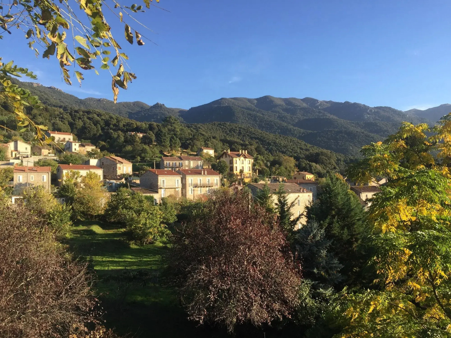 Le Gîte du Chalet Pietri