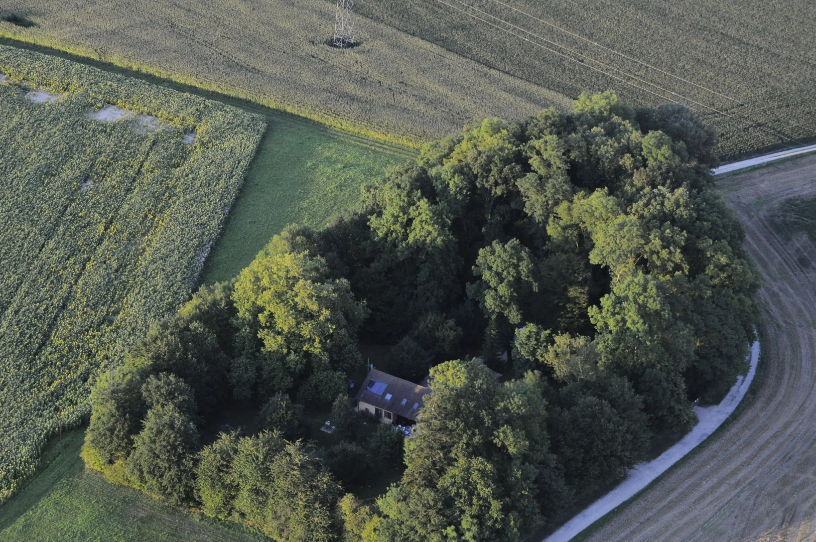 La Roulotte Des Elfes