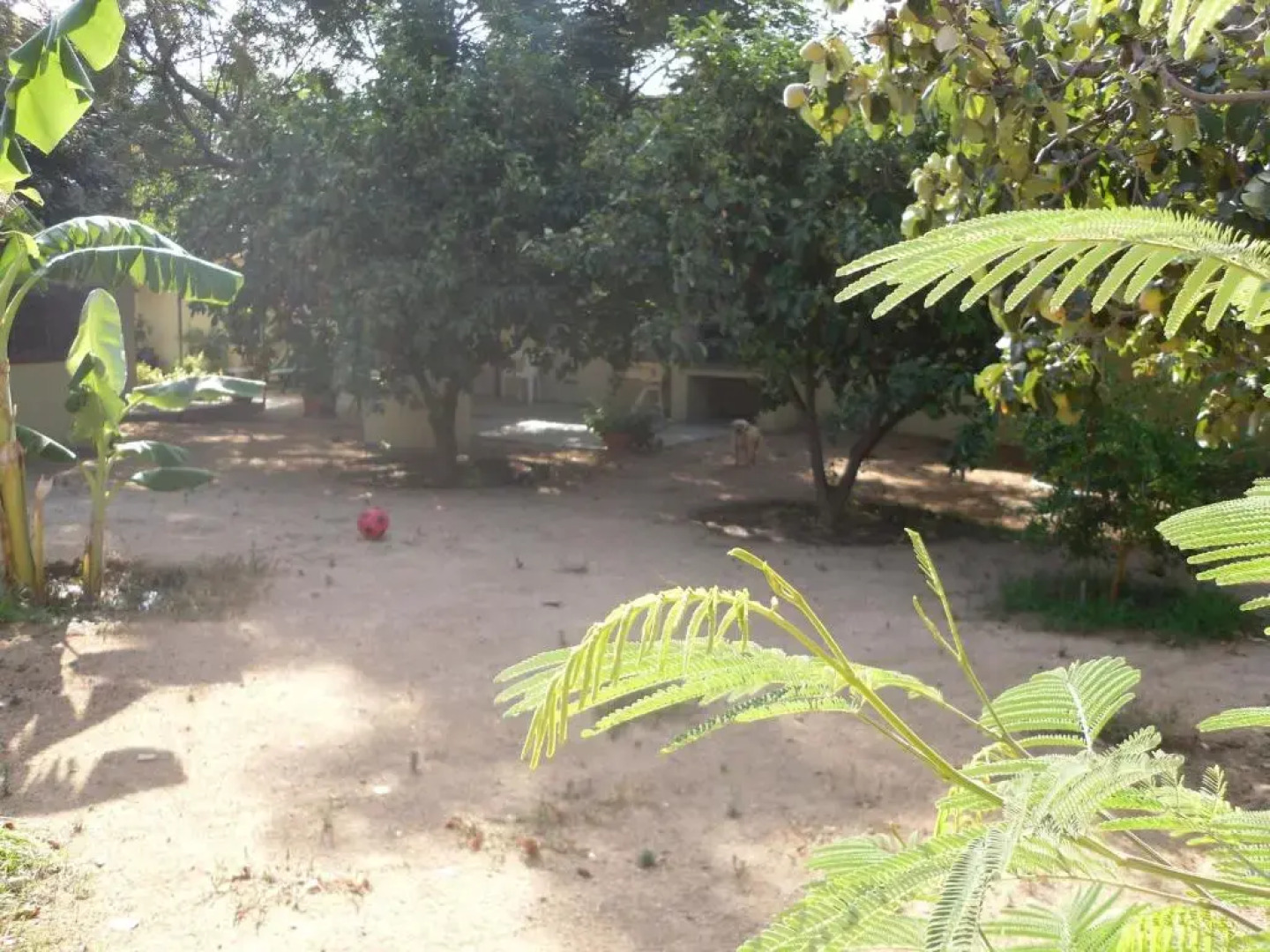 Villletta Indipendente A 300 Metri Dal Mare