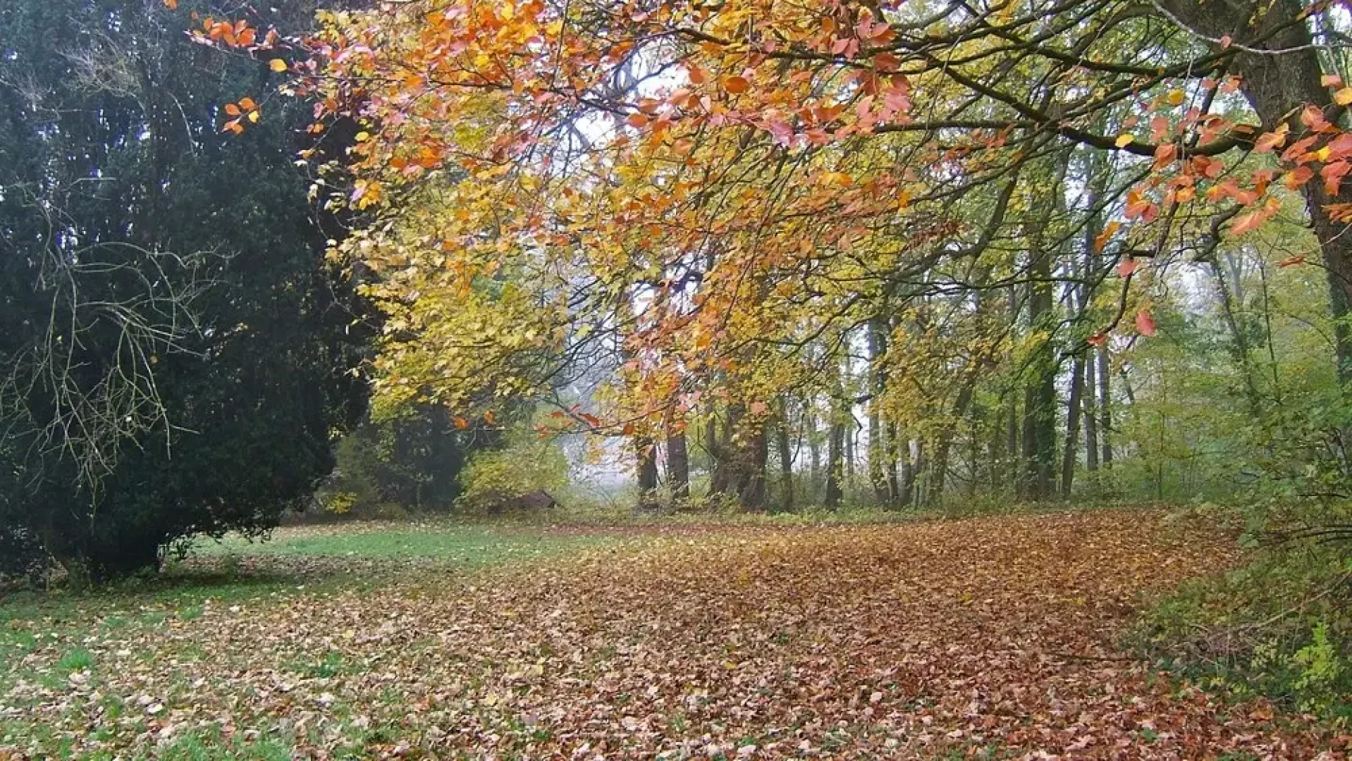 Le Château de Courmelois