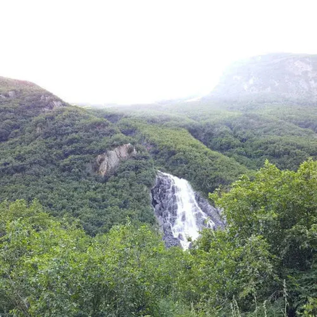 Totem Hotel and Suites