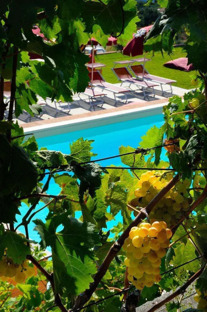 Poggio dei Gorleri Wine resort