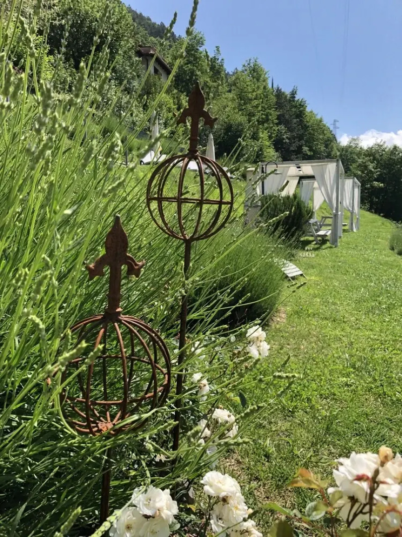 Borgo le Vigne - La Vinaccia