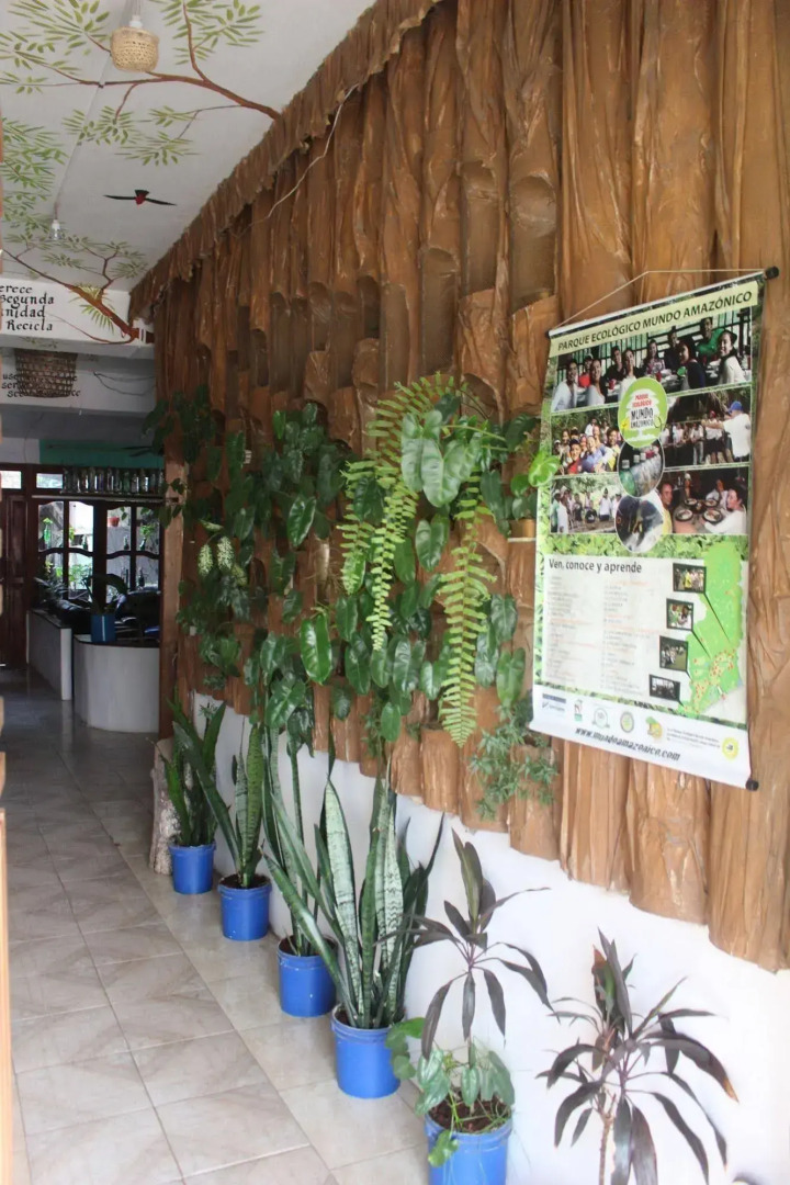 Eco hotel the refuge of the forest