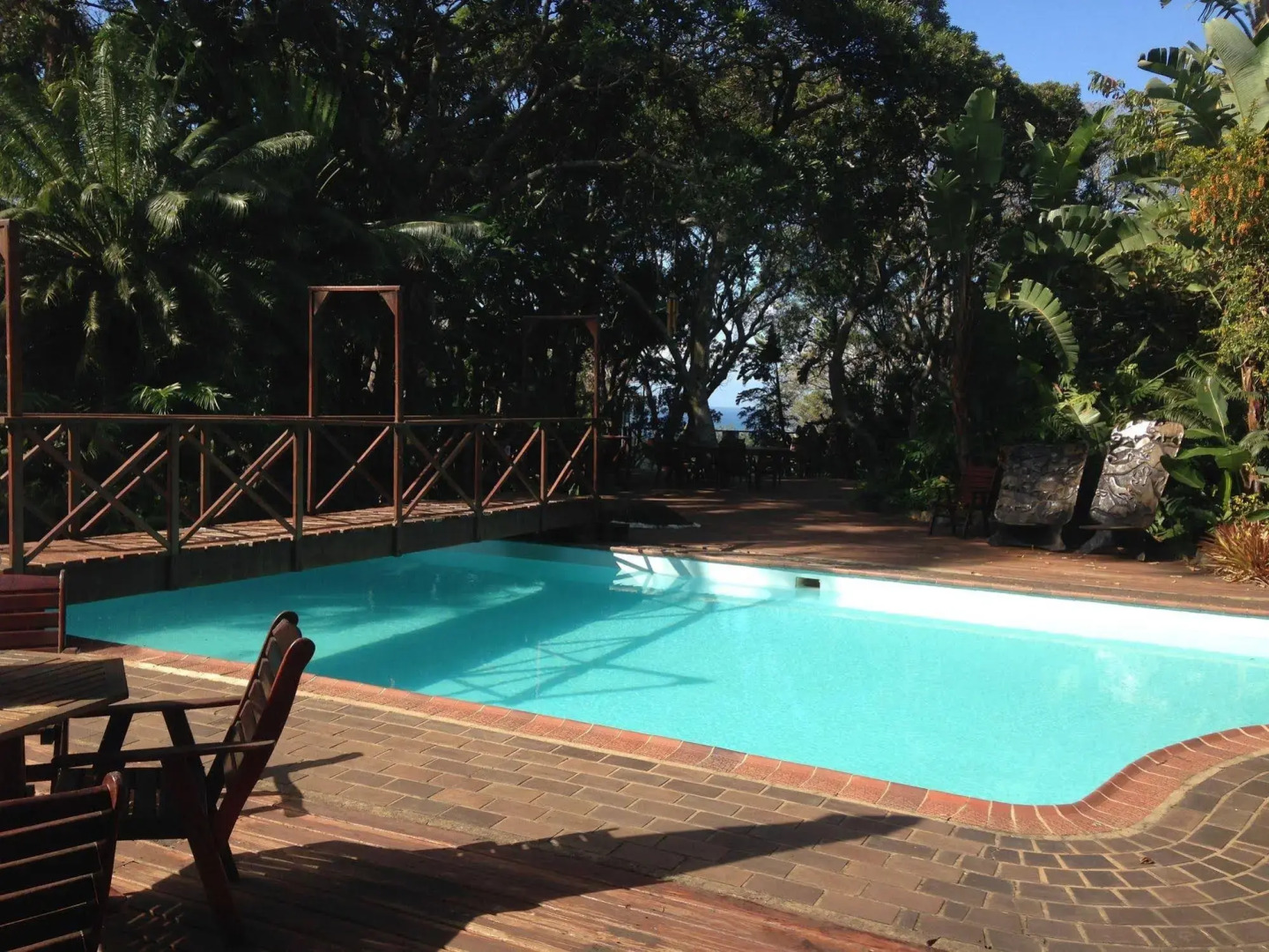 Cycad Bed And Breakfast