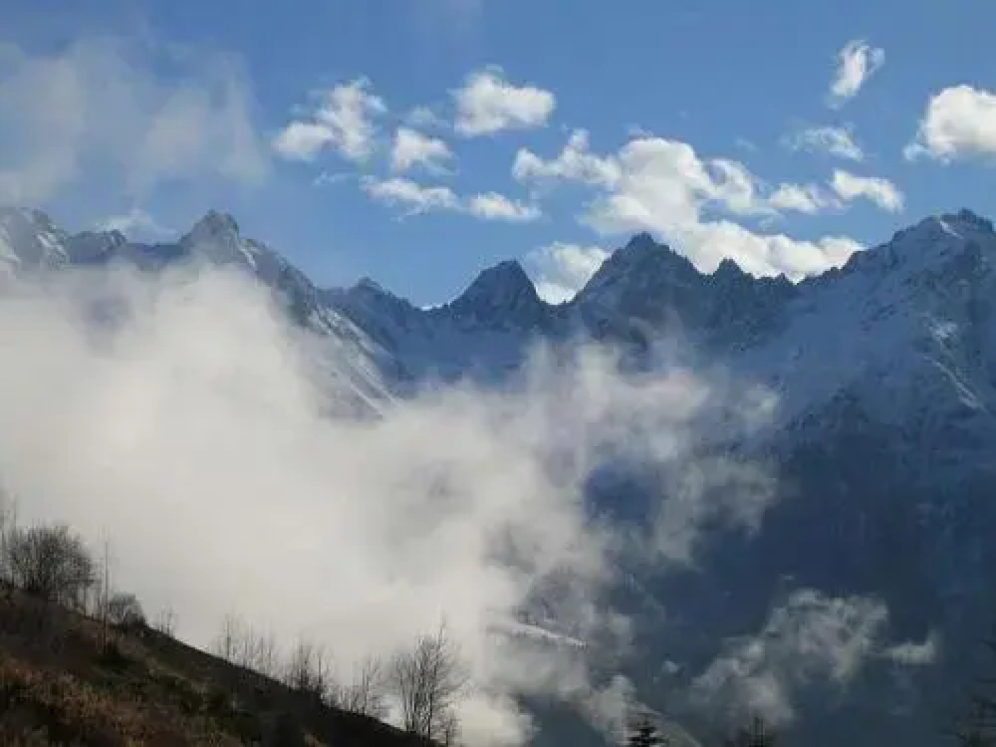 Wirtshaus zum Wiesejaggl