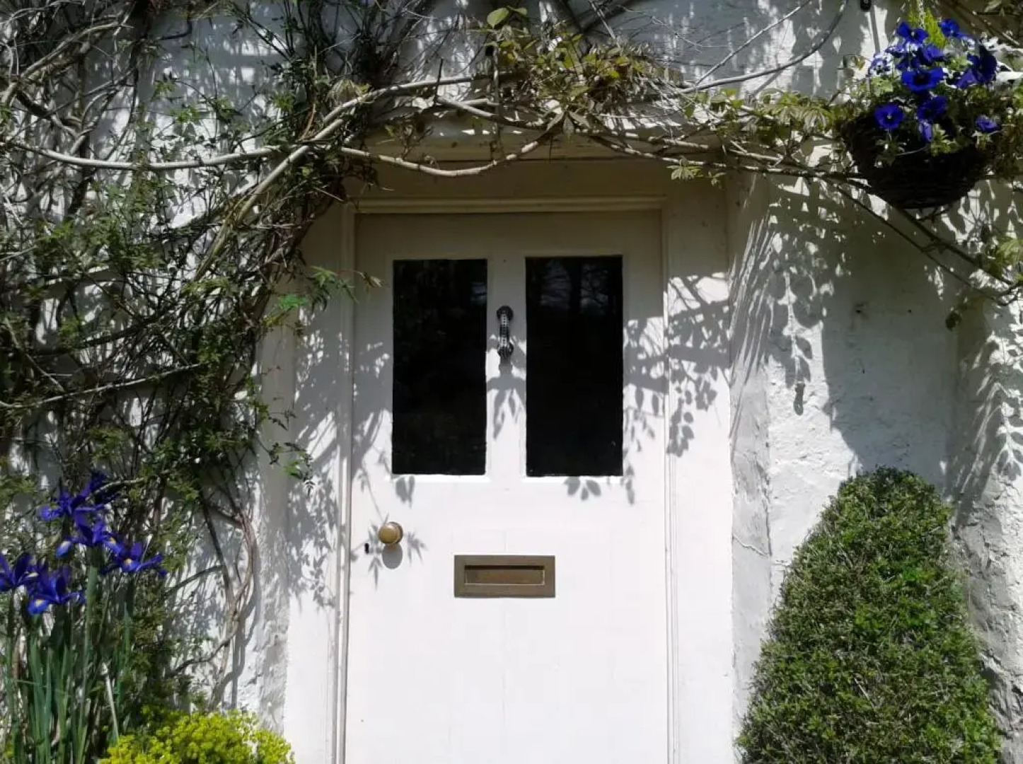 Tracebridge Cottage B&B