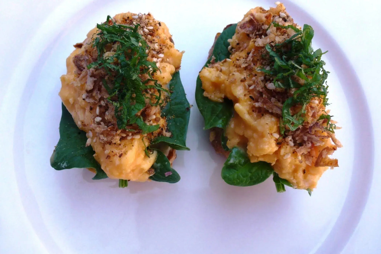 The Retreat at Froog-Moore Park