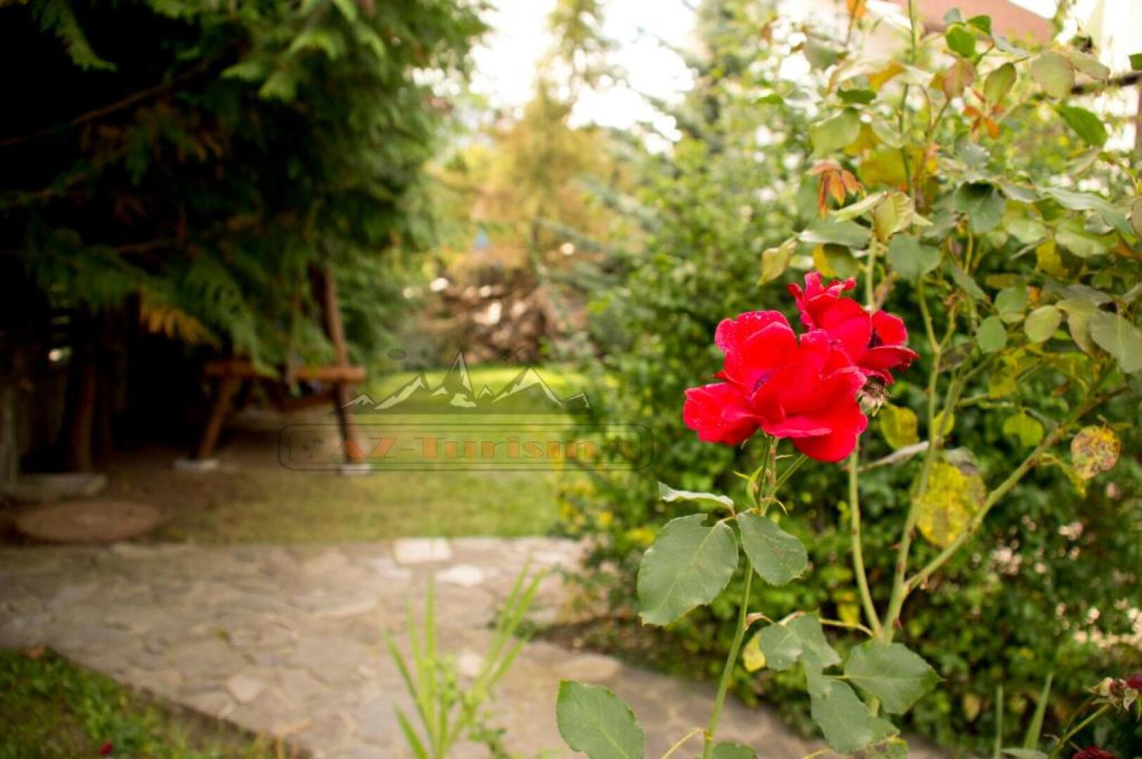 Ski & Adventure Vila