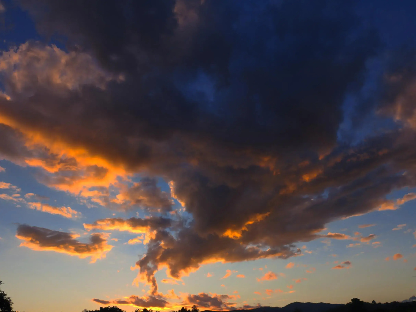 Bamboo Grove Chiang Mai
