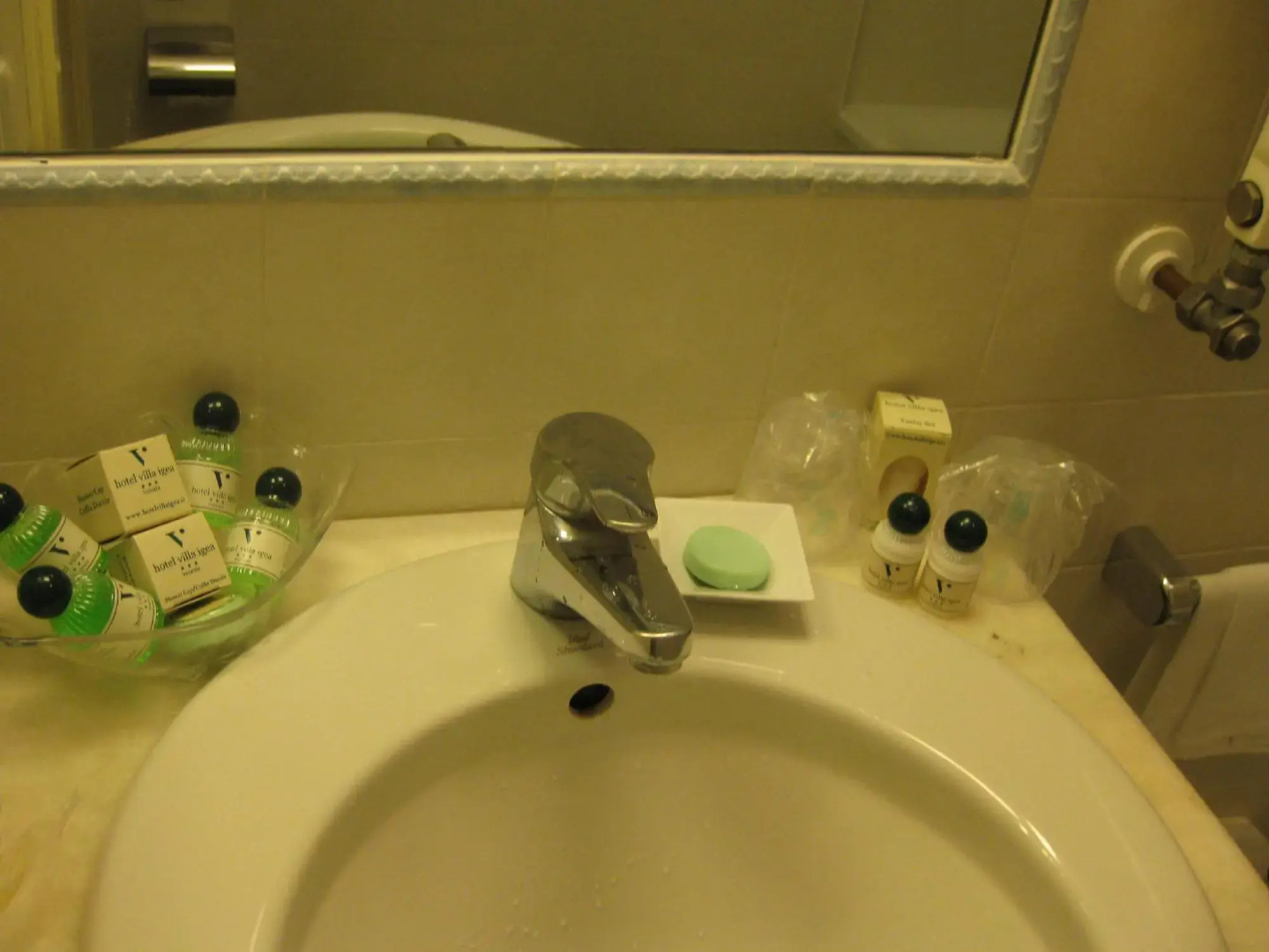 Hotel Dayal Paradise