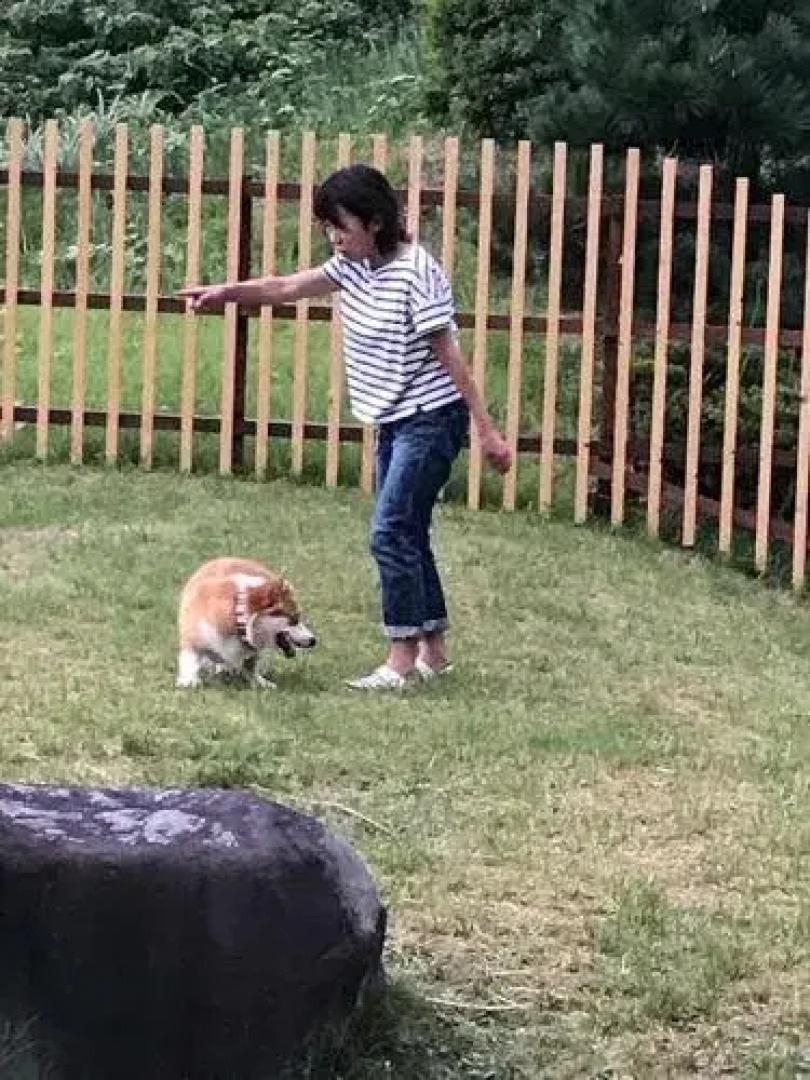 Green Squalle Sekigane