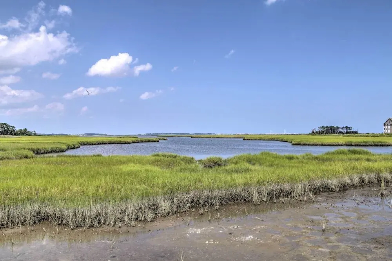 Resort Amenities & Screened Porch: Ocean View Home