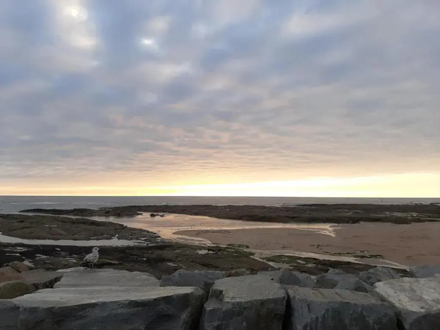 Studio Cabine 2 à 4 personnes face mer.