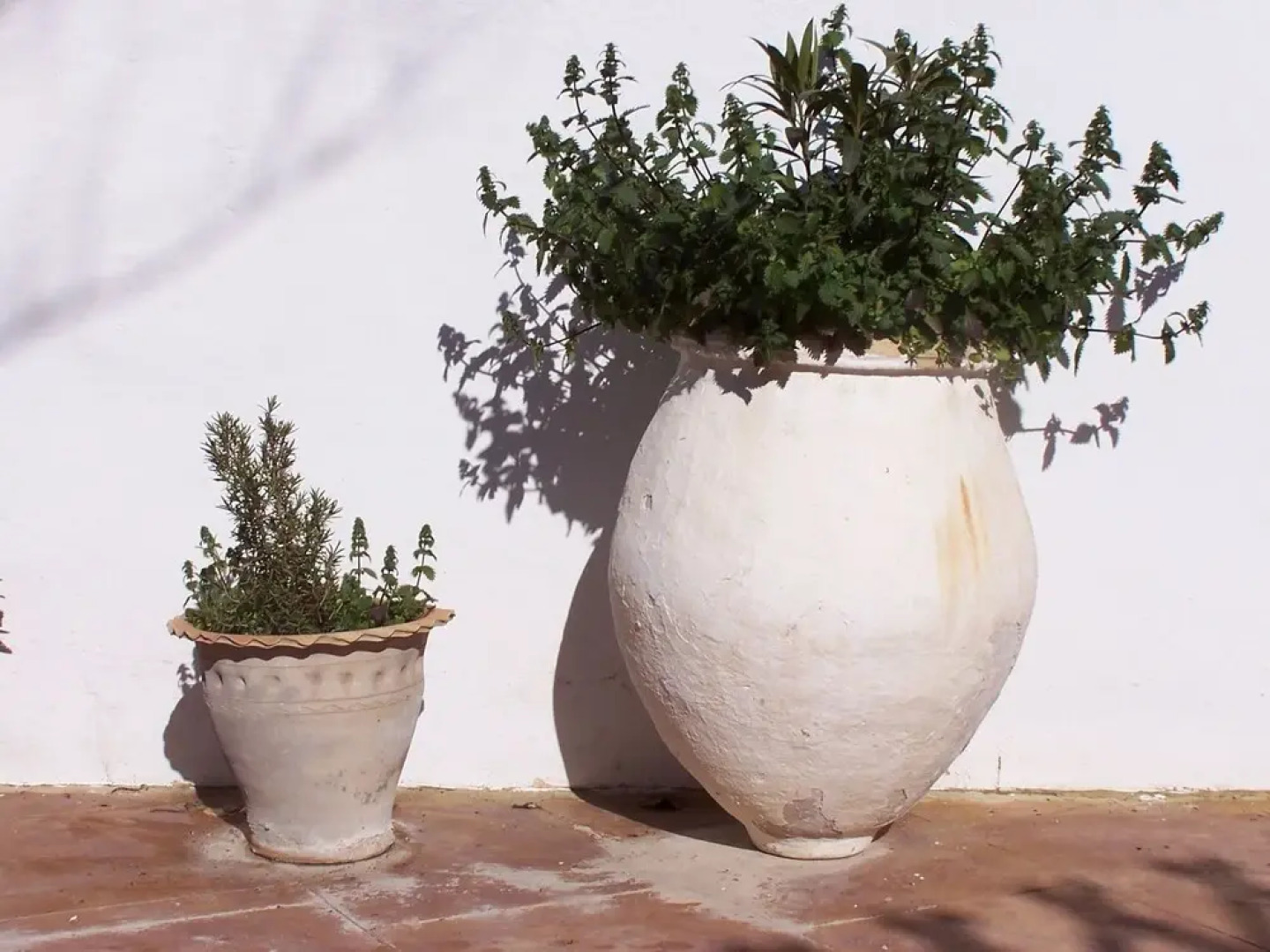 Rustic House With Swimming Pool, Beautifully Situated in Priego de Còrdoba