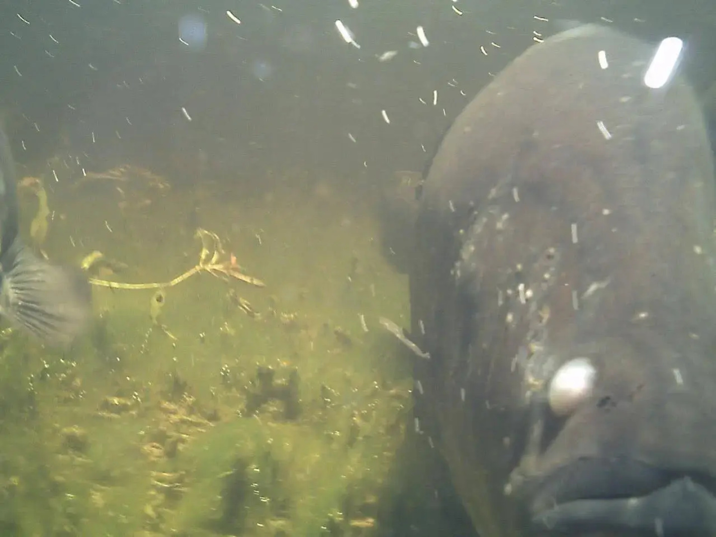 Territory Manor Motel & Caravan Park