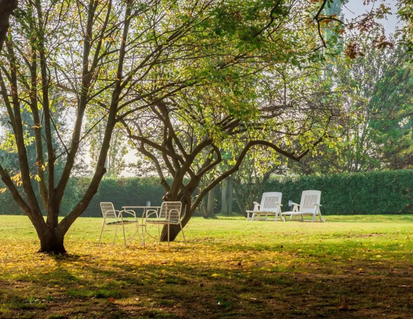 Ca' Palazzo Malvasia - BolognaRooms