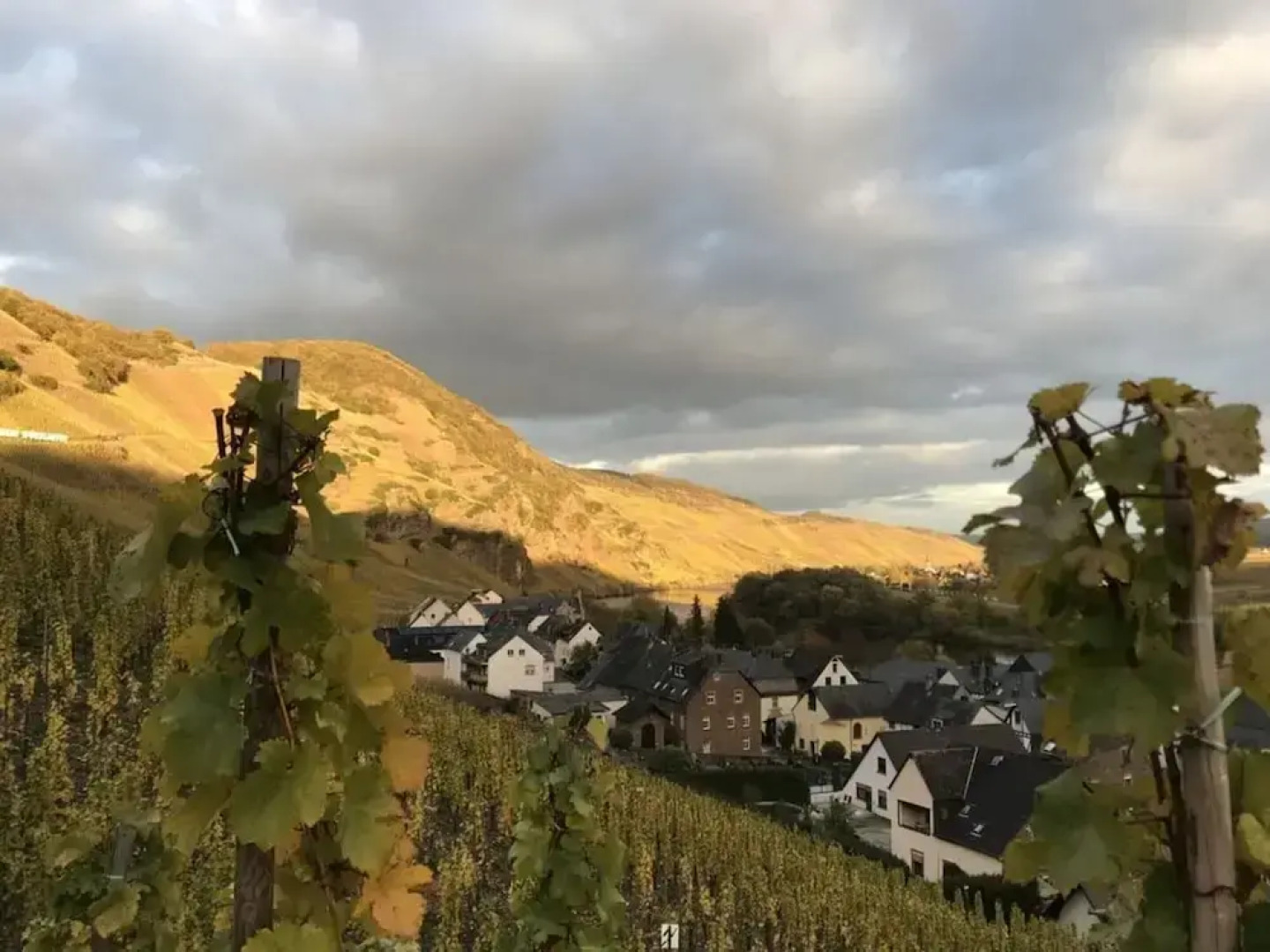 Holiday Home Vinea Comfortable Holiday Residence