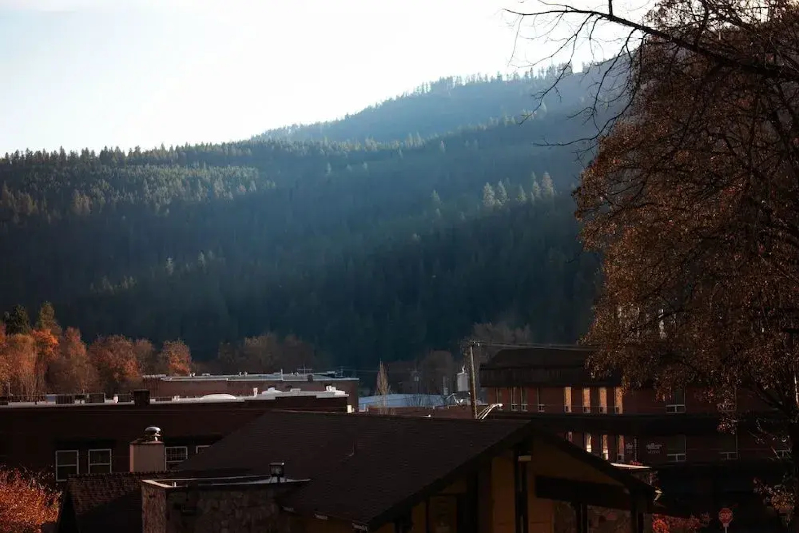 White Pine Motel