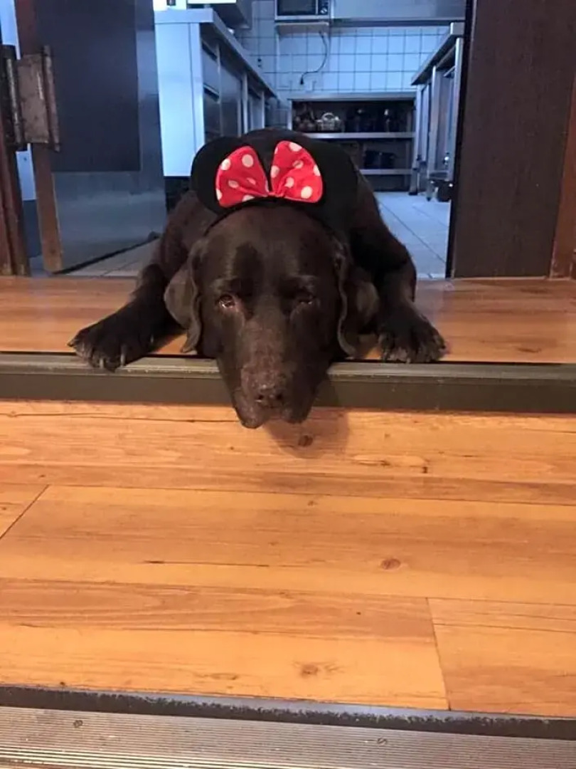 Landhaus Waldziegelhütte