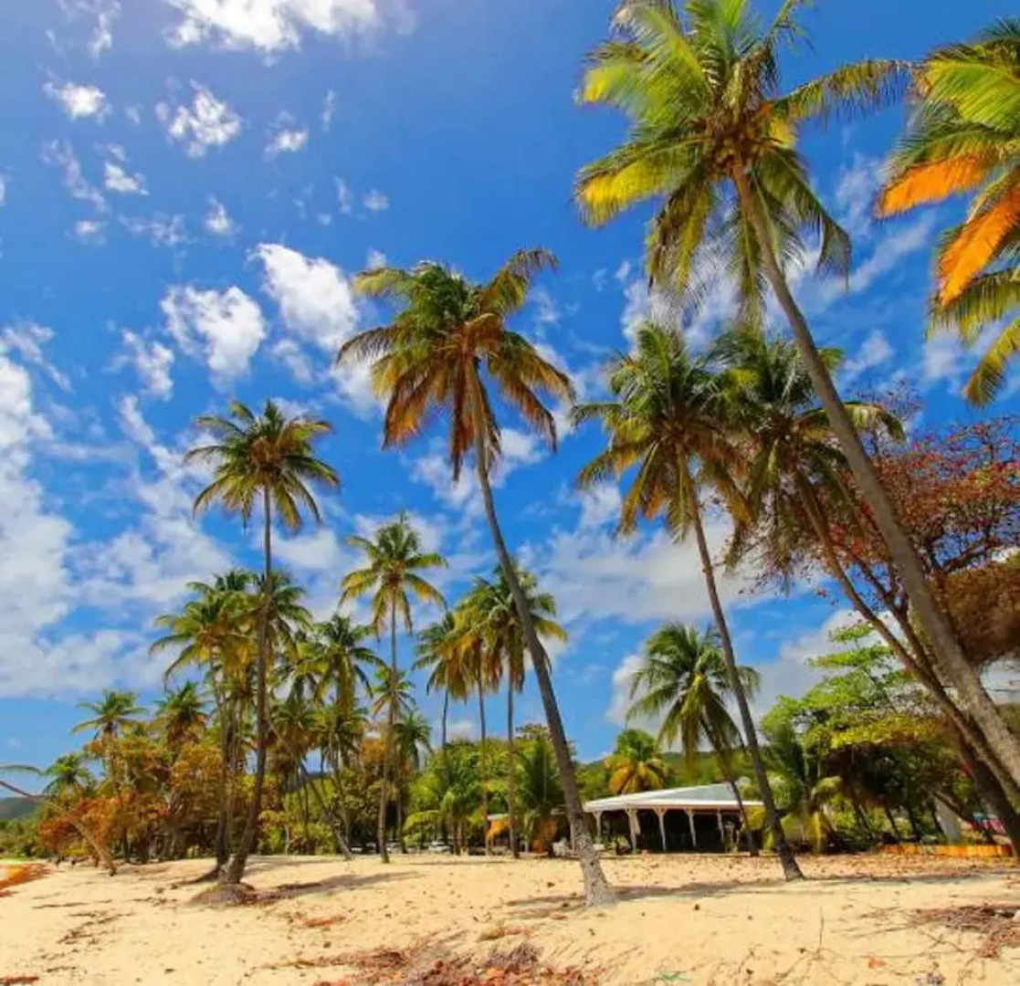 Studio in Capesterre de Marie Galante, With Wonderful sea View, Enclosed Garden and Wifi Near the Beach