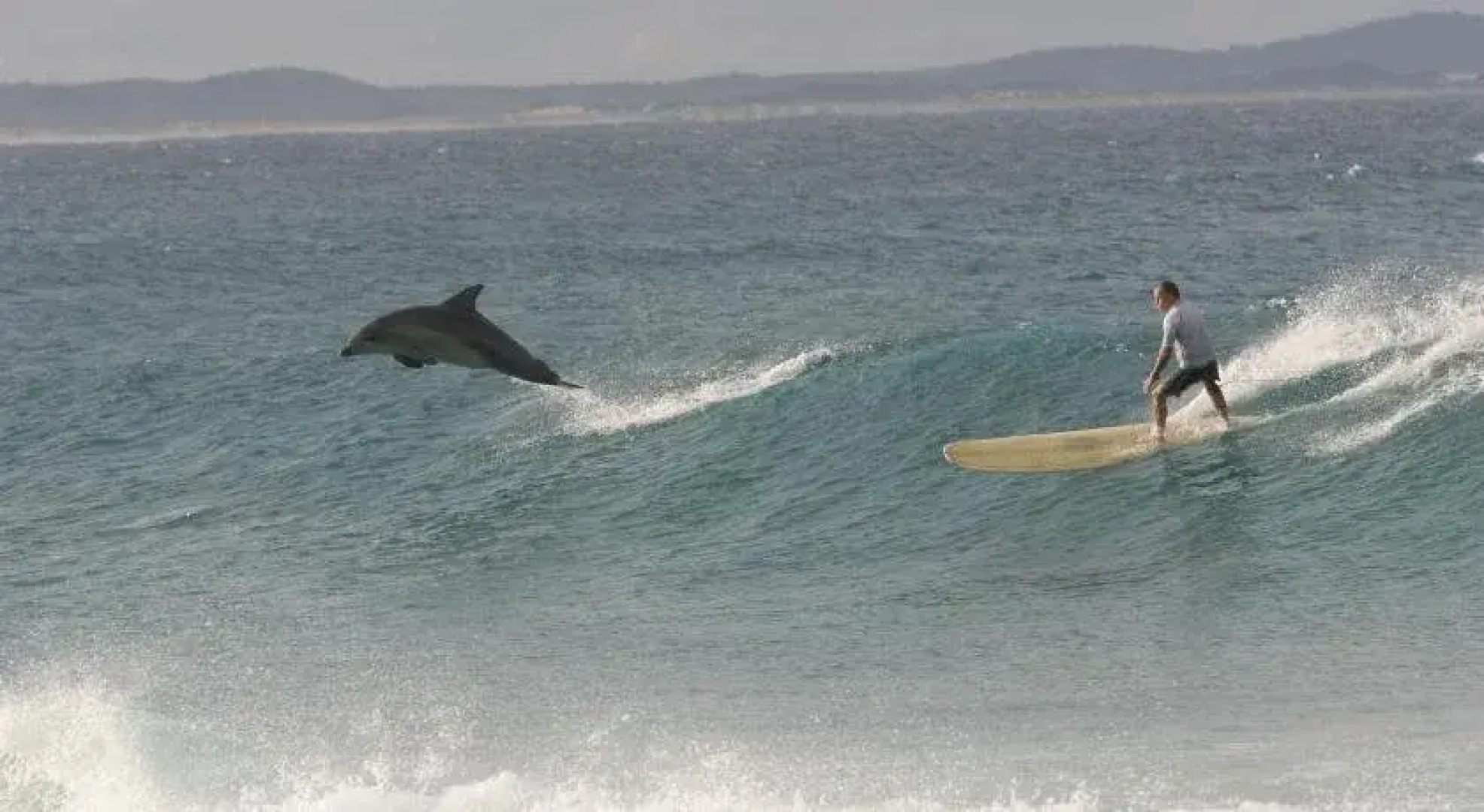 Sun Worship Crescent Head